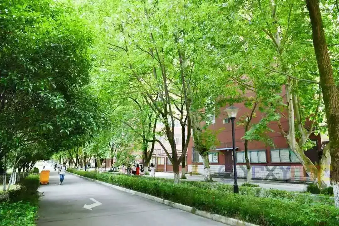 如何设计一份适合初学者的篮球爆发力训练方案?_1